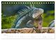 Thumbnail-9