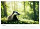 Thumbnail-9