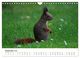 Thumbnail-14