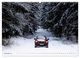 Thumbnail-14