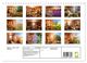 Thumbnail-10