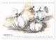 Thumbnail-14