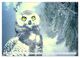 Thumbnail-14