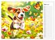 Thumbnail-8