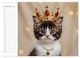 Thumbnail-12