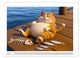 Thumbnail-9