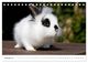 Thumbnail-14