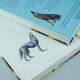 Thumbnail-4