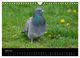 Thumbnail-9