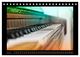 Thumbnail-9