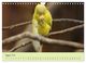 Thumbnail-13