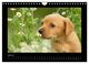 Thumbnail-12