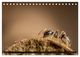 Thumbnail-12