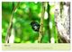 Thumbnail-10