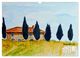 Thumbnail-14