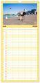 Thumbnail-12