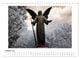 Thumbnail-12