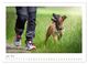 Thumbnail-8