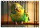 Thumbnail-8