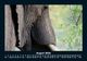 Thumbnail-12
