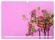 Thumbnail-10
