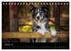 Thumbnail-12