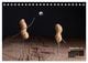 Thumbnail-11