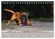 Thumbnail-10
