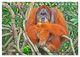 Thumbnail-14