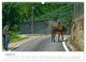 Thumbnail-10