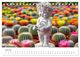 Thumbnail-11