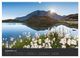Thumbnail-13