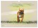 Thumbnail-9