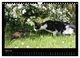 Thumbnail-9
