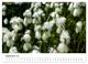 Thumbnail-14