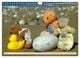 Thumbnail-9