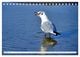 Thumbnail-9