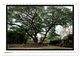 Thumbnail-14