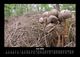 Thumbnail-10