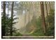 Thumbnail-14