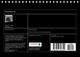 Thumbnail-13