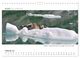 Thumbnail-10