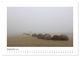 Thumbnail-11