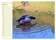 Thumbnail-9