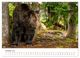 Thumbnail-12
