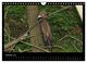 Thumbnail-12
