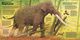 Thumbnail-8