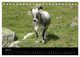 Thumbnail-12