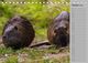 Thumbnail-10