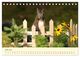 Thumbnail-9